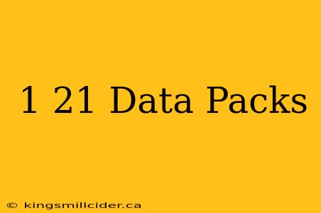 1 21 Data Packs