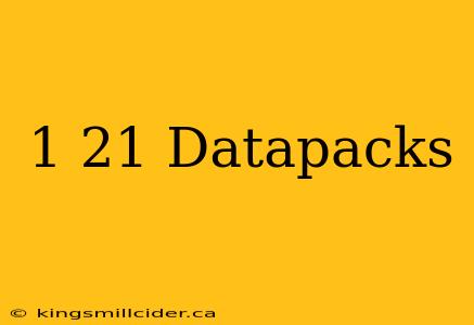 1 21 Datapacks