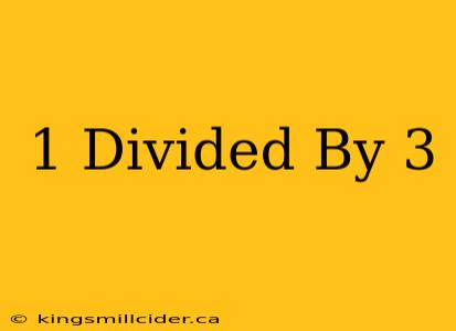 1 Divided By 3