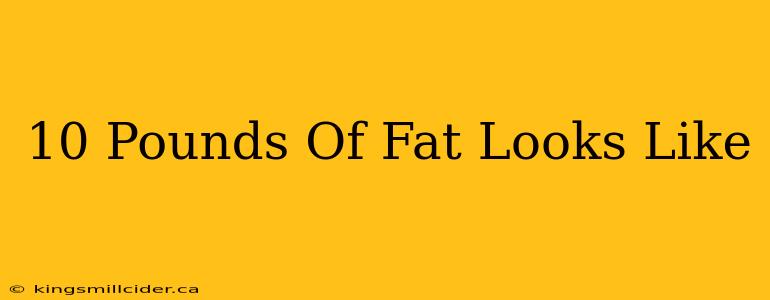 10 Pounds Of Fat Looks Like