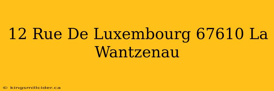 12 Rue De Luxembourg 67610 La Wantzenau