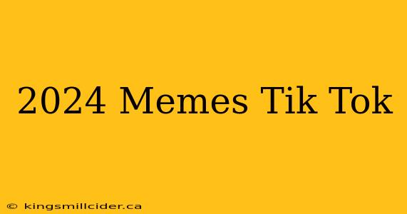 2024 Memes Tik Tok