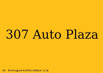 307 Auto Plaza