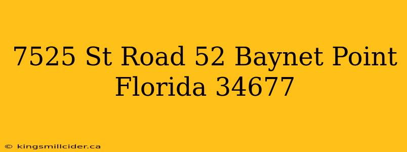 7525 St Road 52 Baynet Point Florida 34677