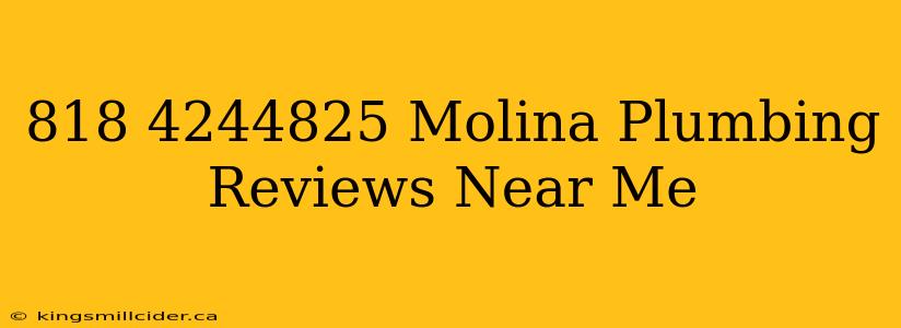 818 4244825 Molina Plumbing Reviews Near Me