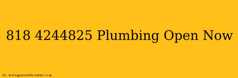 818 4244825 Plumbing Open Now