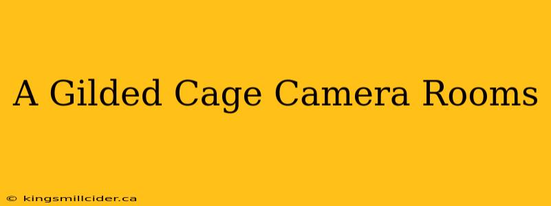 A Gilded Cage Camera Rooms