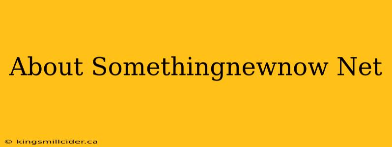 About Somethingnewnow Net