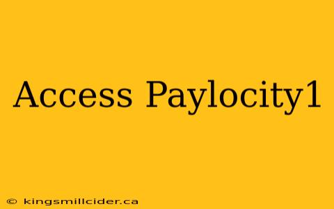 Access Paylocity1