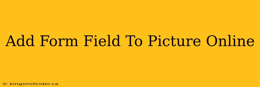 Add Form Field To Picture Online