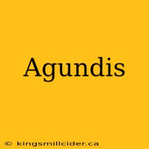 Agundis