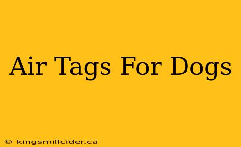 Air Tags For Dogs