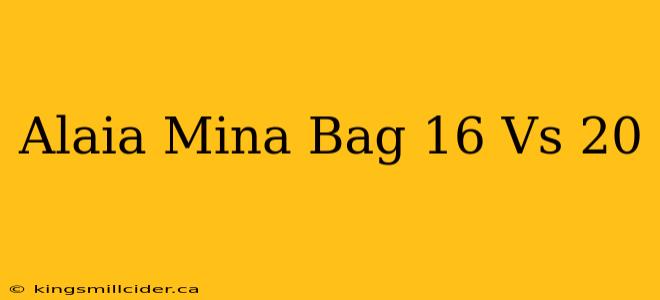 Alaia Mina Bag 16 Vs 20