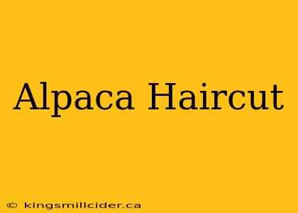 Alpaca Haircut