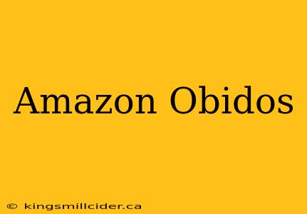 Amazon Obidos