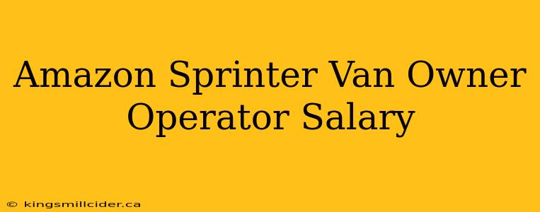 Amazon Sprinter Van Owner Operator Salary