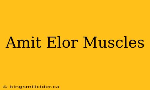 Amit Elor Muscles