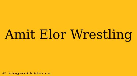 Amit Elor Wrestling