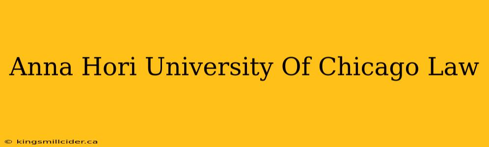Anna Hori University Of Chicago Law