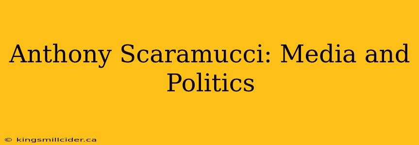 Anthony Scaramucci: Media and Politics