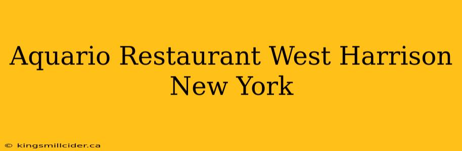 Aquario Restaurant West Harrison New York