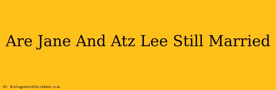 Are Jane And Atz Lee Still Married