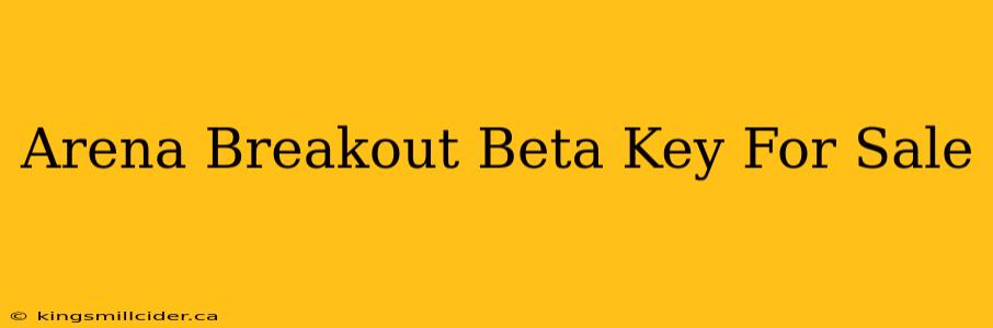 Arena Breakout Beta Key For Sale