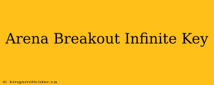 Arena Breakout Infinite Key