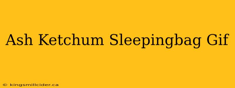 Ash Ketchum Sleepingbag Gif