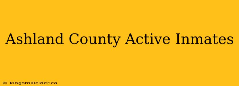 Ashland County Active Inmates