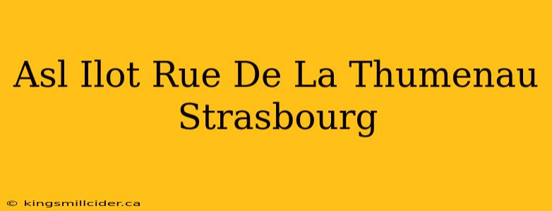 Asl Ilot Rue De La Thumenau Strasbourg