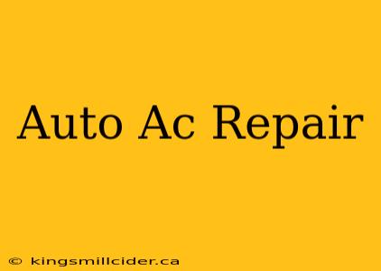 Auto Ac Repair