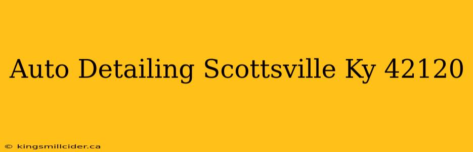 Auto Detailing Scottsville Ky 42120