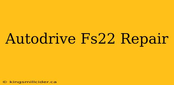 Autodrive Fs22 Repair