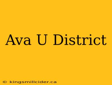 Ava U District