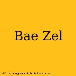 Bae Zel