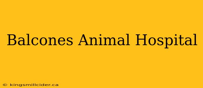 Balcones Animal Hospital