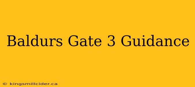 Baldurs Gate 3 Guidance