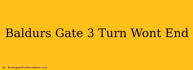 Baldurs Gate 3 Turn Wont End