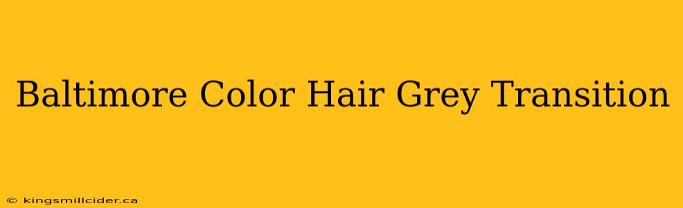 Baltimore Color Hair Grey Transition