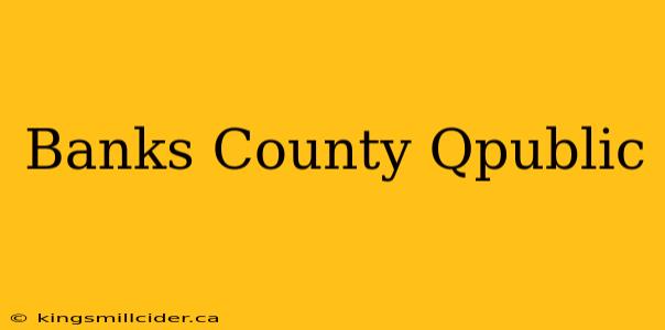 Banks County Qpublic