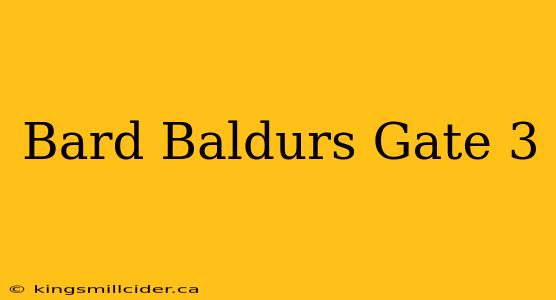 Bard Baldurs Gate 3