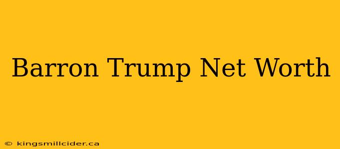 Barron Trump Net Worth