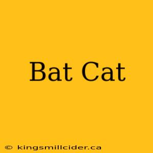 Bat Cat