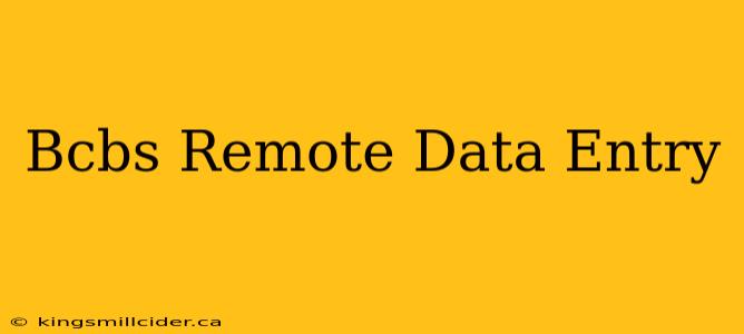 Bcbs Remote Data Entry