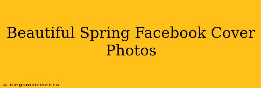 Beautiful Spring Facebook Cover Photos