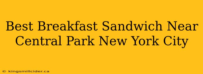 Best Breakfast Sandwich Near Central Park New York City