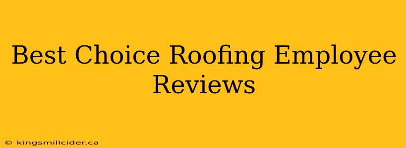 Best Choice Roofing Employee Reviews