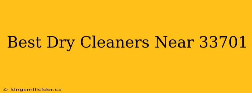 Best Dry Cleaners Near 33701