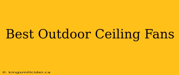 Best Outdoor Ceiling Fans